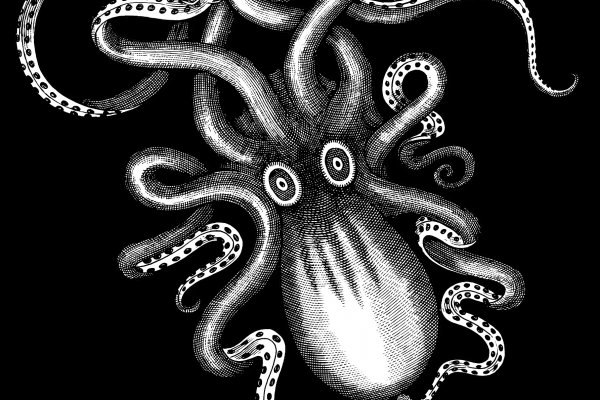 Kraken dark