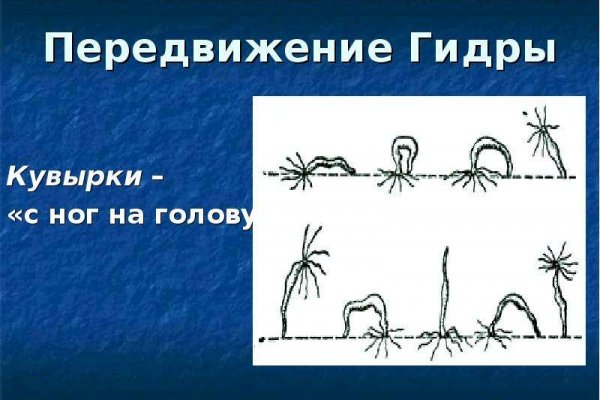 Ссылки в тор